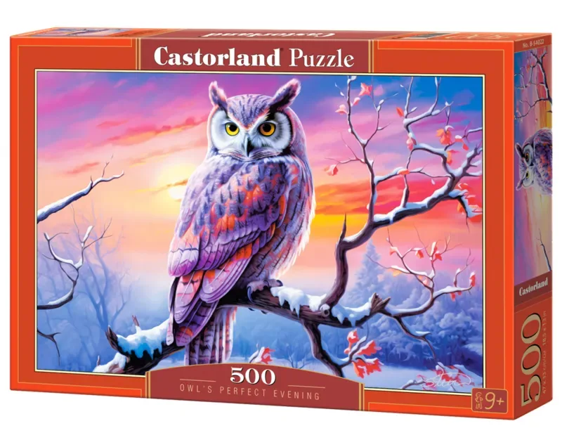 puzzel uil legpuzzel - 500 stukjes kleurrijk speelgoed. van Castorland, editie Meerkleurig – doos 2 van 2