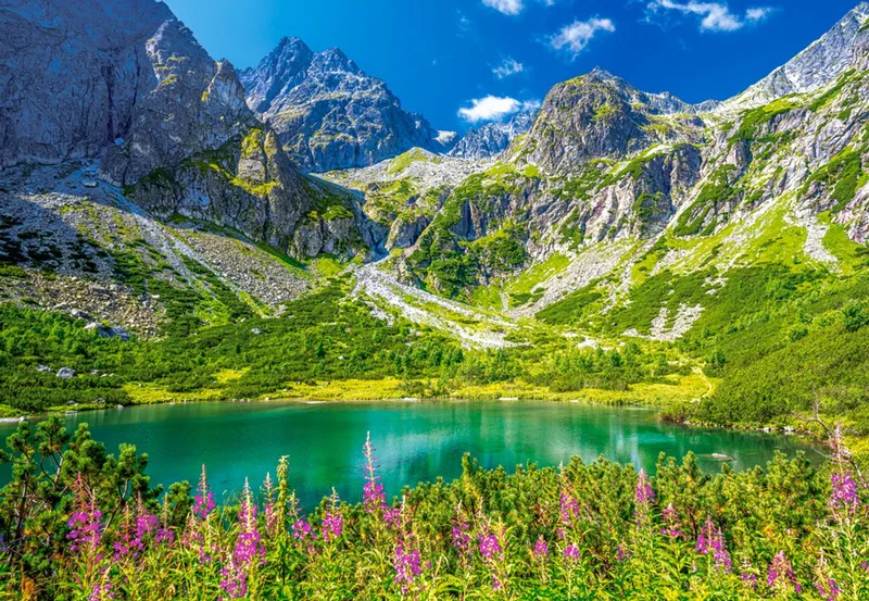 puzzel Zelene Pleso Tatras Slowakei - 1000 stukjes legpuzzel. de Castorland, édition Multicolore – boîte