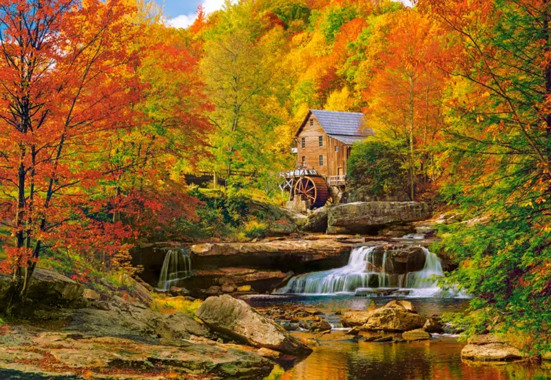 Puzzle Automne Magique - 1000 pièces de Castorland – boîte