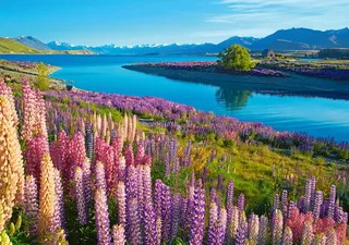 Puzzle Lac Tekapo, Nouvelle-Zélande - 500 à 999 pièces van Castorland – doos 1 van 2