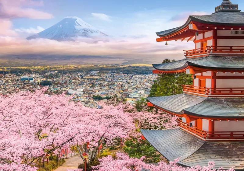 Puzzle Le Printemps au Japon - 500 à 999 pièces van Castorland – doos
