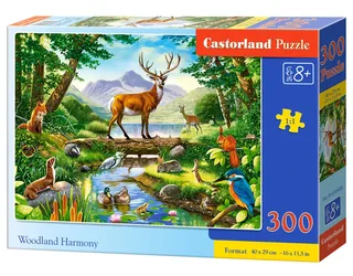 Woodland Harmony - 300 stukjes van Castorland, editie Meerkleurig – doos 2 van 2