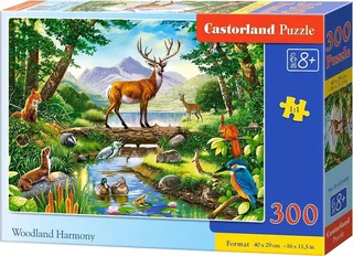 Woodland Harmony - 300 stukjes van Castorland, editie Meerkleurig – doos 1 van 2