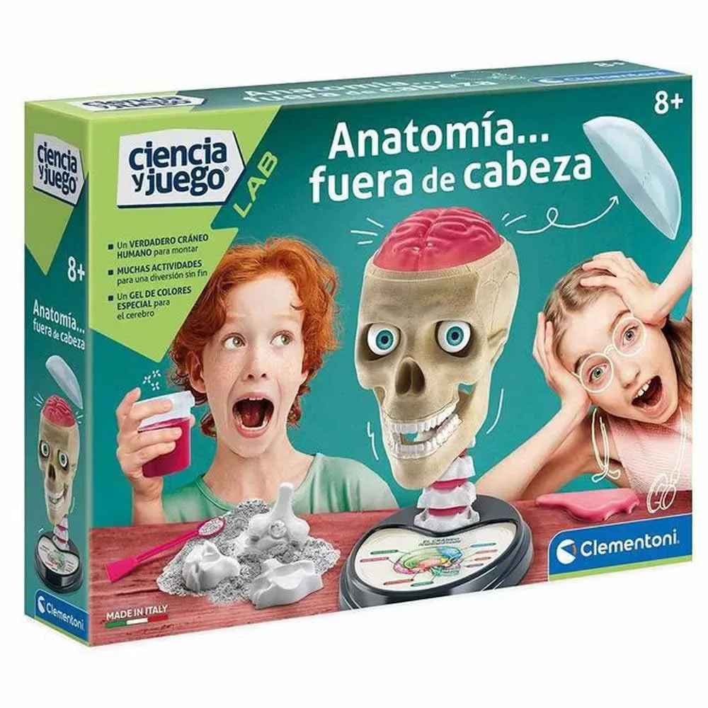Anatomie från Clementoni – kartong