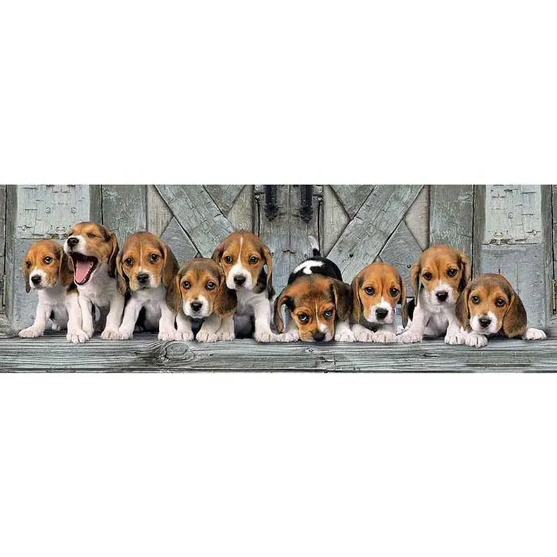 Clementoni 1000 stuks Hoge Kwaliteit Collectie Panorama BEAGLES 2D Puzzels van Clementoni – doos 2 van 2