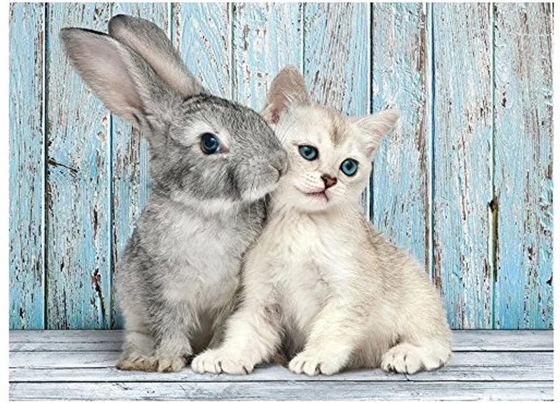 Puzzel - 500 Stukjes - Kat en Konijn - Puzzel Voor Kinderen en Volwassenen - High Quality Collection van Clementoni, editie Meerkleurig – doos