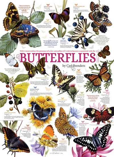 Butterfly Collection (1000) von Cobble Hill – Schachtel