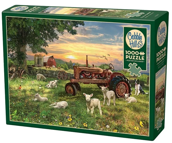 Field at Sunrise (1000) de Cobble Hill – boîte
