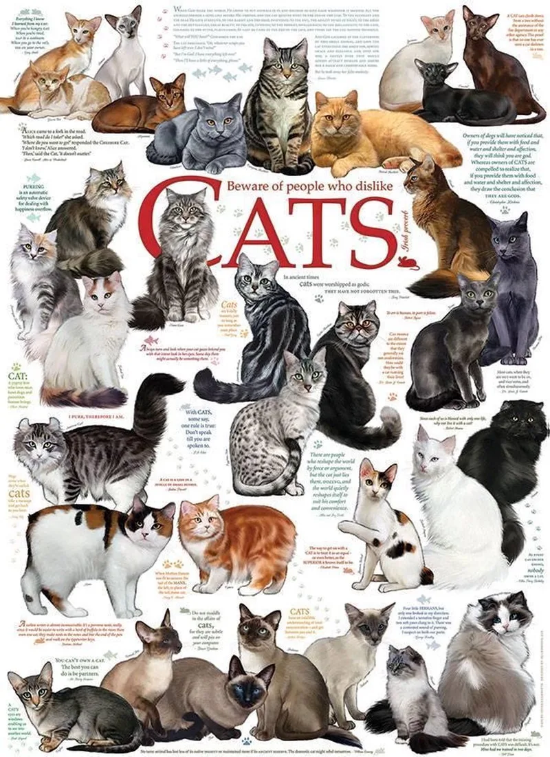 Katten Citaten - 1000 stukjes de Cobble Hill, édition Multi-coloured – boîte
