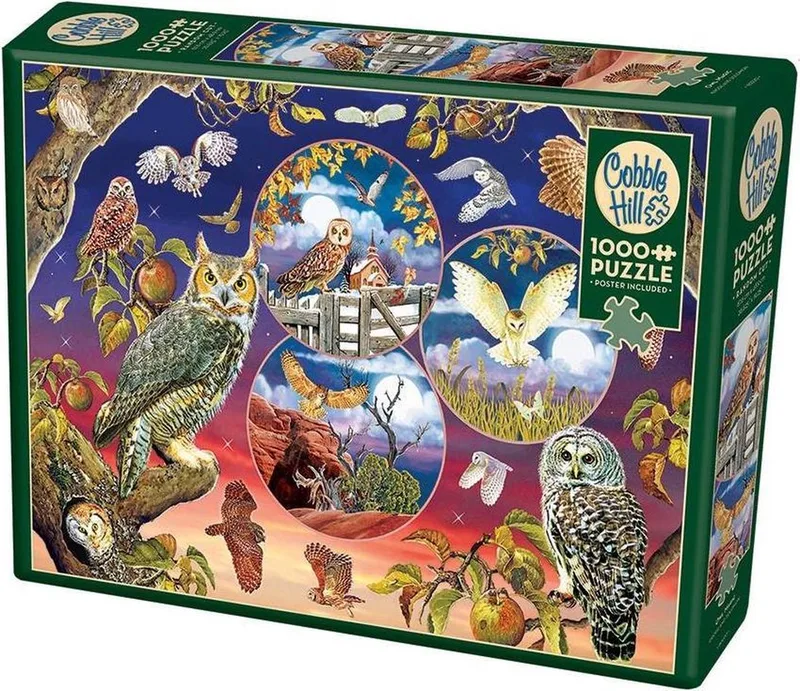 Owl Magic- Cobble Hill from Cobble Hill, Multicolour edition – box