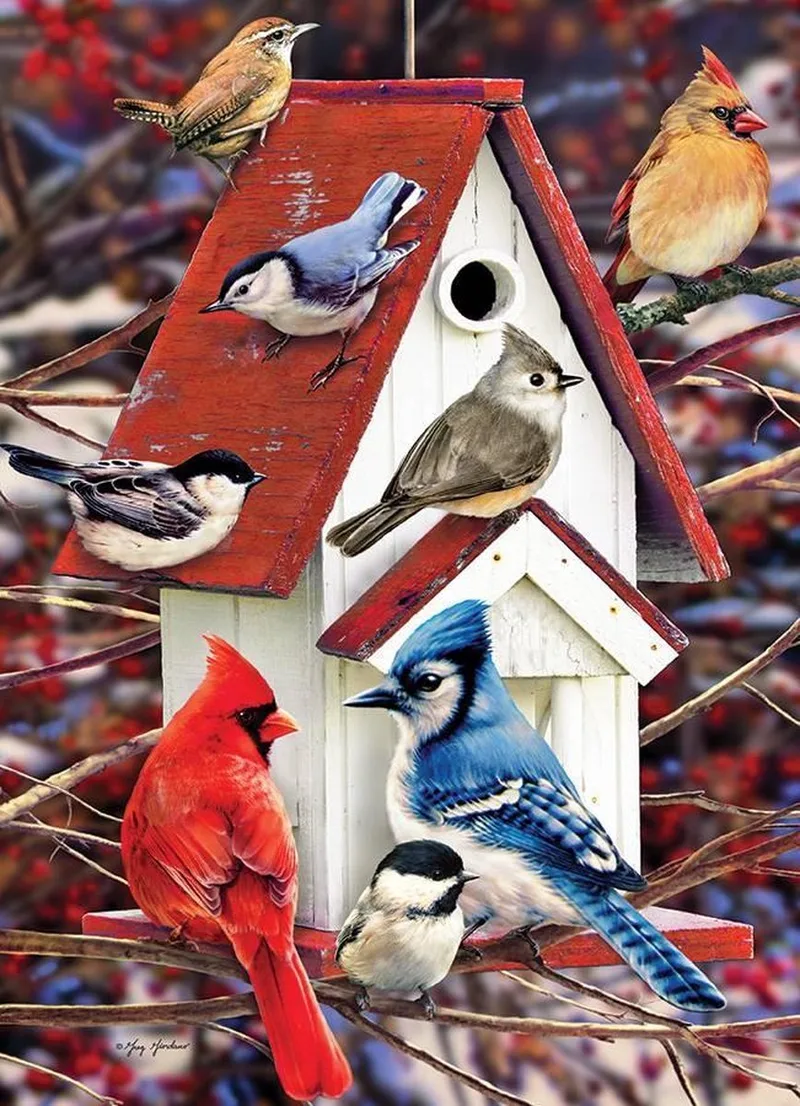 puzzle 1000 pieces - Winter Birdhouse van Cobble Hill – doos