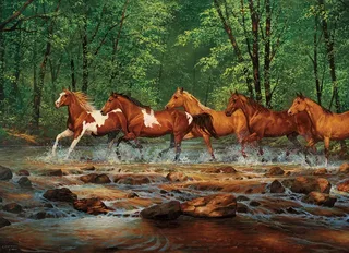 Puzzle A Travers la Rivière - 1000 pièces from Cobble Hill – box 1 of 2