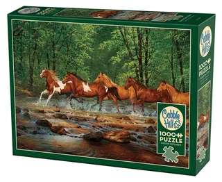 Puzzle A Travers la Rivière - 1000 pièces from Cobble Hill – box 2 of 2