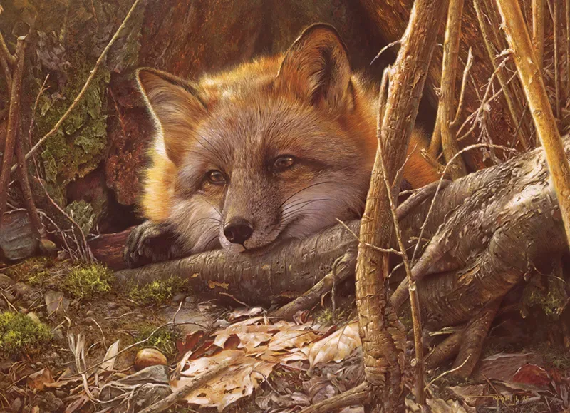Puzzle Au Soleil - 500 à 999 pièces van Cobble Hill – doos