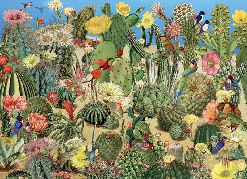 Puzzle Cactus Garden - 1000 pièces van Cobble Hill – doos 1 van 2