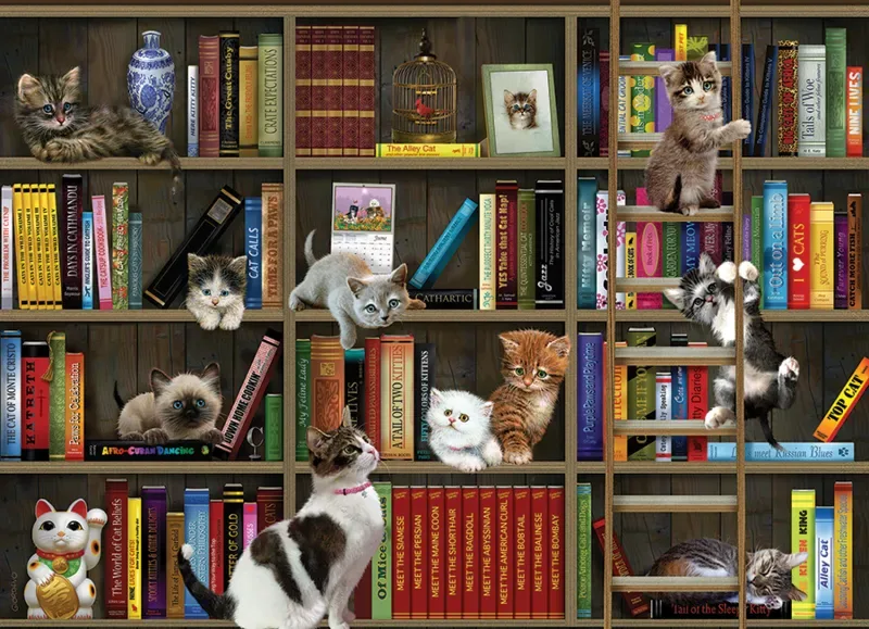 Puzzle Chatons de Bibliothèque - 1000 pièces de Cobble Hill – boîte