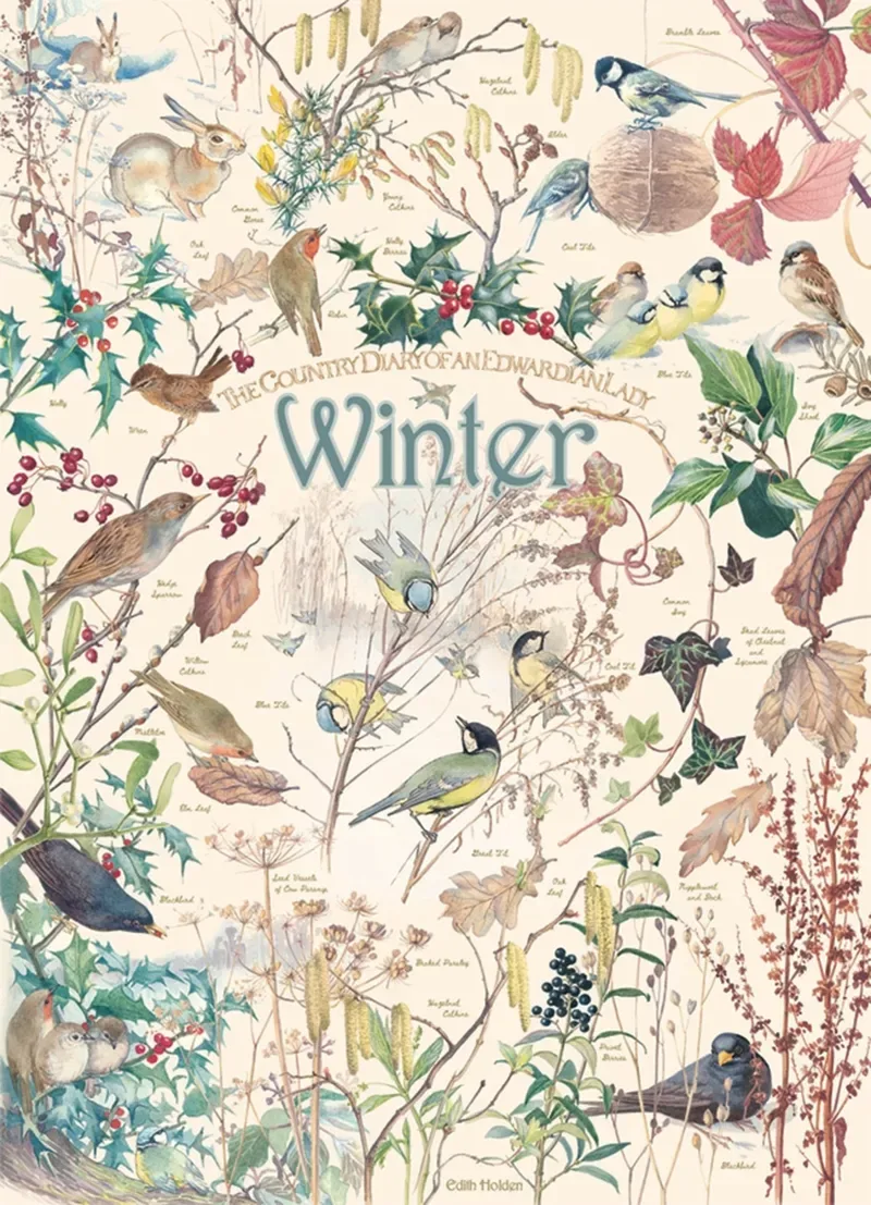 Puzzle Country Diary - Hiver - 1000 pièces van Cobble Hill – doos