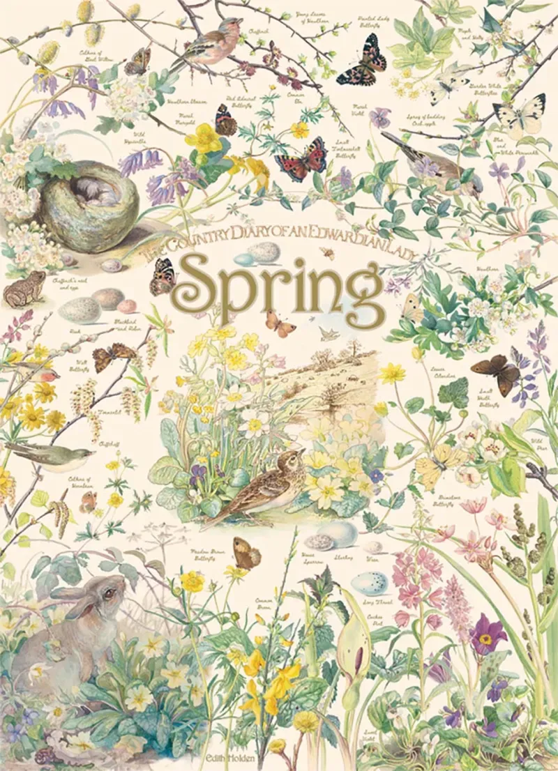 Puzzle Country Diary - Printemps - 1000 pièces de Cobble Hill – boîte