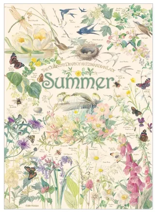Puzzle Country Diary: Summer - 1000 pièces from Cobble Hill – box 1 of 2