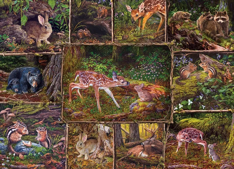 Puzzle Dans les bois - Family Pieces - 200 à 499 pièces van Cobble Hill – doos