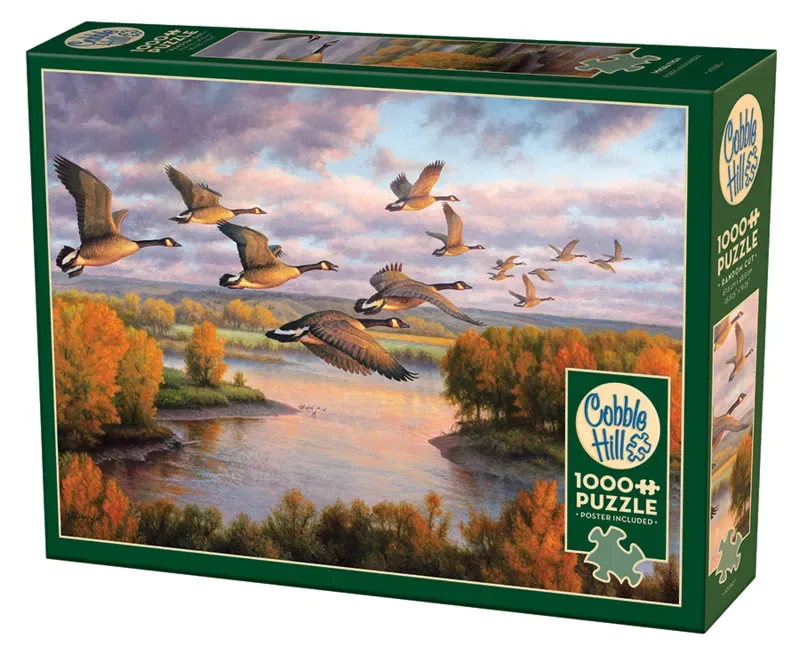 Puzzle En Route - 1000 pièces van Cobble Hill – doos 2 van 2