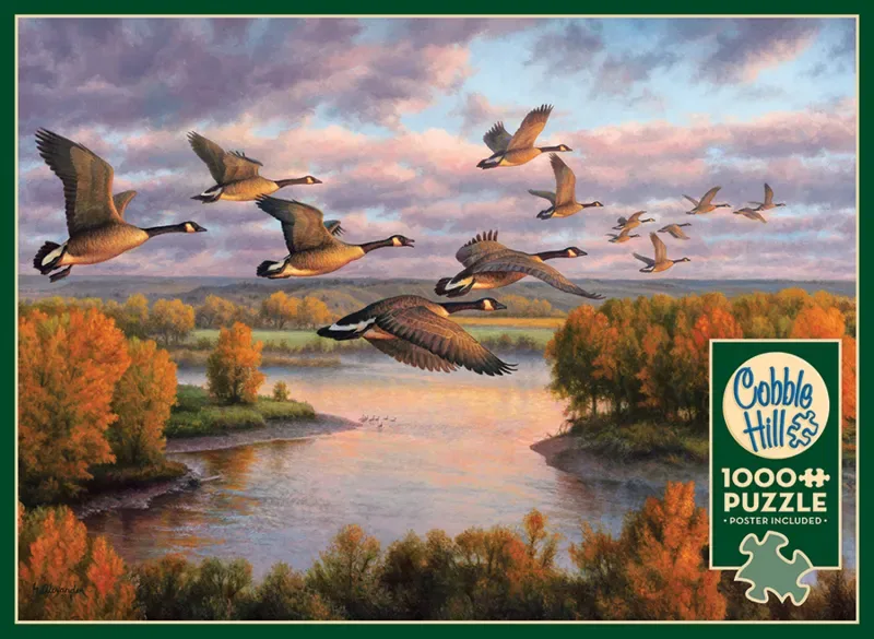 Puzzle En Route - 1000 pièces de Cobble Hill – boîte
