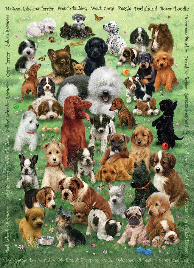 Puzzle Family - Chiots - 200 à 499 pièces van Cobble Hill – doos