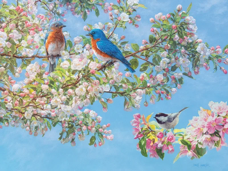 Puzzle Festival des Fleurs - 200 à 499 pièces van Cobble Hill – doos