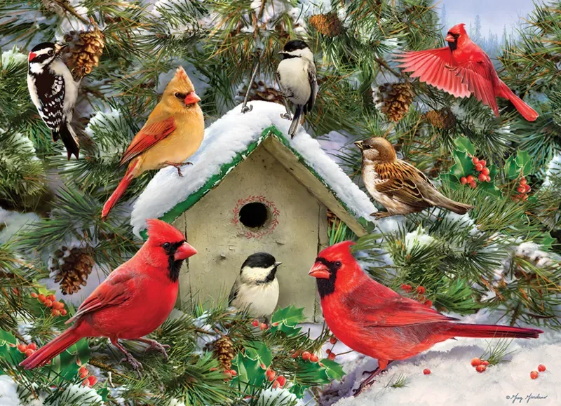 Puzzle Festive Feast - 1000 pièces van Cobble Hill – doos