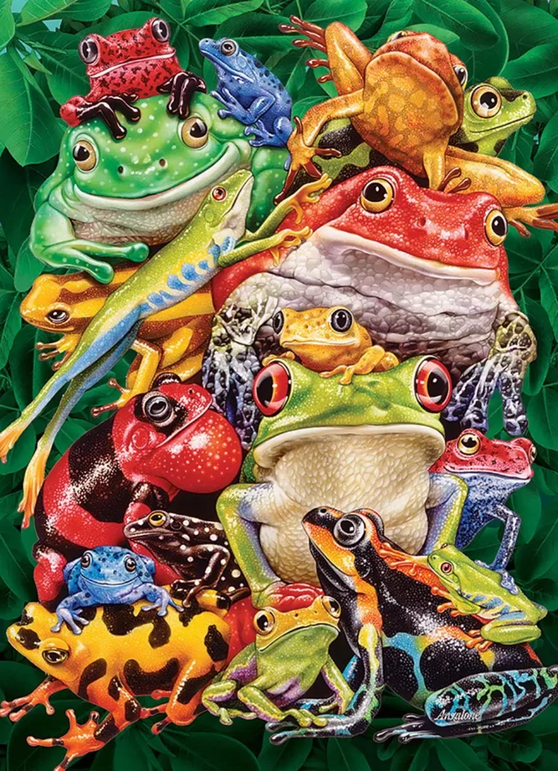 Puzzle Frog Business - 1000 pièces de Cobble Hill – boîte