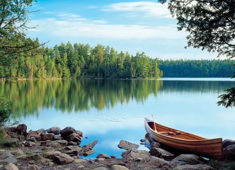 Puzzle Le Miroir de la Nature - Random Cut - 1000 pièces van Cobble Hill – doos