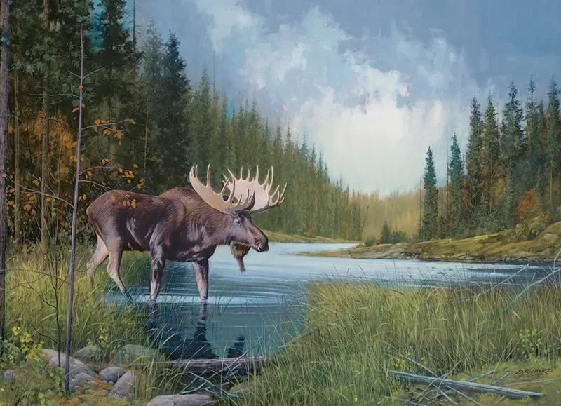 Puzzle Moose Lake - 1000 pièces de Cobble Hill – boîte