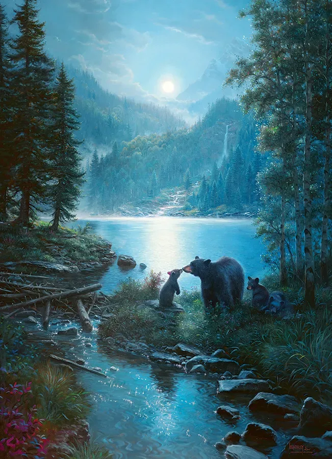 Puzzle Nuit des Ours - 1000 pièces van Cobble Hill – doos