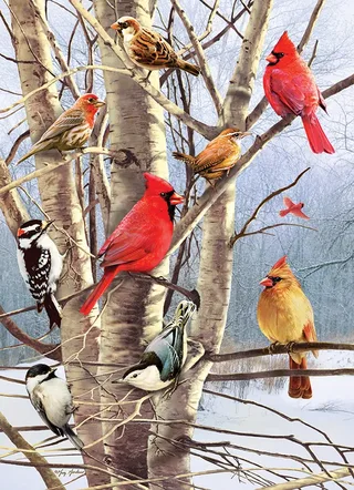 Puzzle Oiseaux d'Hiver - 1000 pièces van Cobble Hill – doos 1 van 2