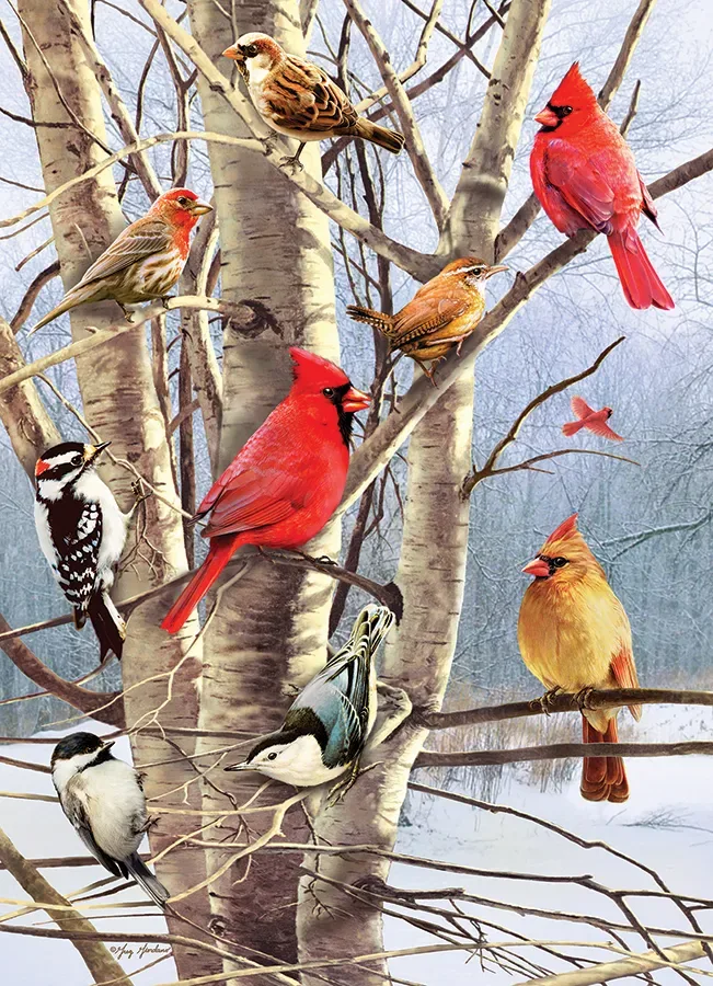 Puzzle Oiseaux d'Hiver - 1000 pièces de Cobble Hill – boîte