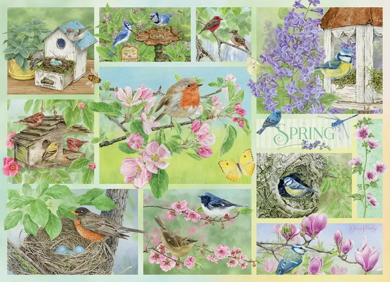 Puzzle Oiseaux de Jardin au Printemps - 500 à 999 pièces von Cobble Hill – Schachtel
