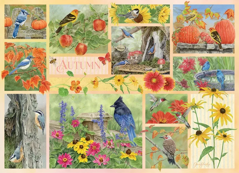 Puzzle Oiseaux de Jardin en Automne - 500 à 999 pièces de Cobble Hill – boîte