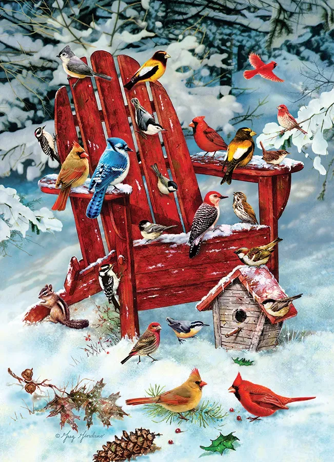 Puzzle Oiseaux des Adirondacks - 1000 pièces de Cobble Hill – boîte