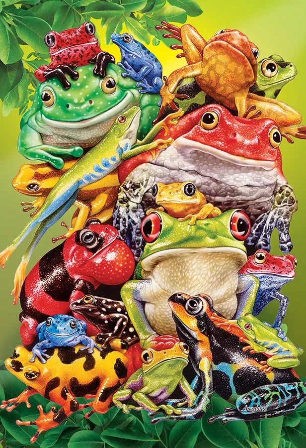 Puzzle Pièces XXL - Affaires De Grenouilles - 100 à 149 pièces de Cobble Hill – boîte