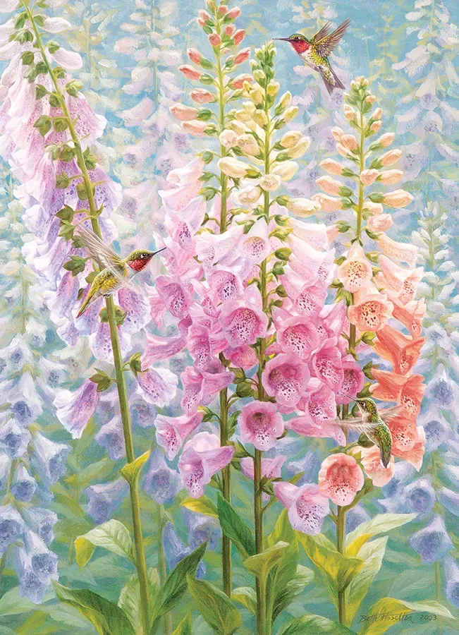 Puzzle Pièces XXL - Arc-en-Ciel d'Été - Random Cut - 500 à 999 pièces de Cobble Hill – boîte