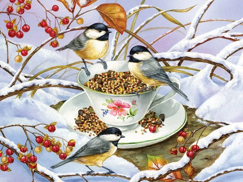 Puzzle Pièces XXL - Chickadee Tea - 200 à 499 pièces de Cobble Hill – boîte
