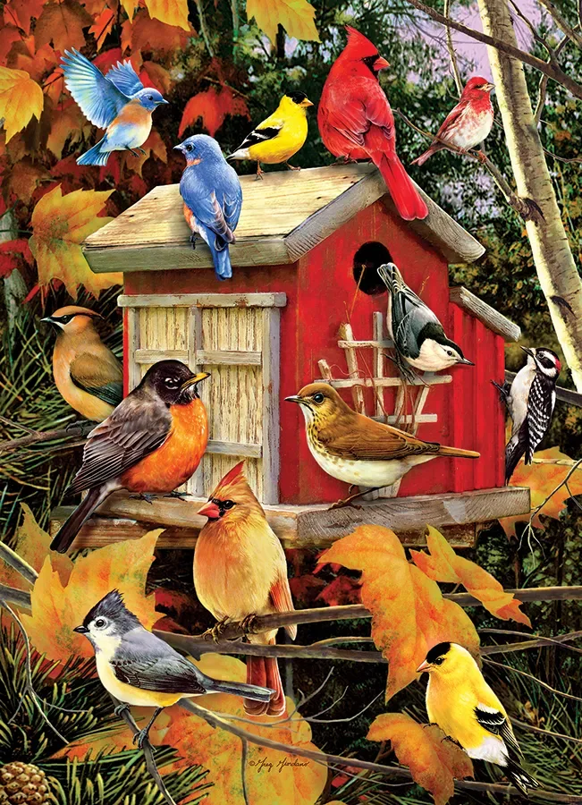 Puzzle Pièces XXL - Maison d'Oiseau d'Automne - 500 à 999 pièces de Cobble Hill – boîte