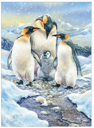 Puzzle Pièces XXL - Penguin Family (Family) - 200 à 499 pièces de Cobble Hill – boîte 1 sur 2