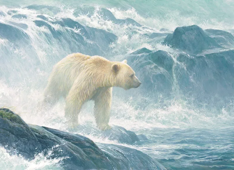 Puzzle Pièces XXL - Salmon Watch - Spirit Bear - 500 à 999 pièces de Cobble Hill – boîte