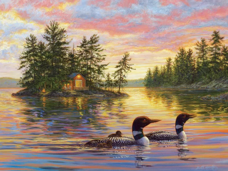 Puzzle Pièces XXL - Soirée Tranquille - 200 à 499 pièces van Cobble Hill – doos