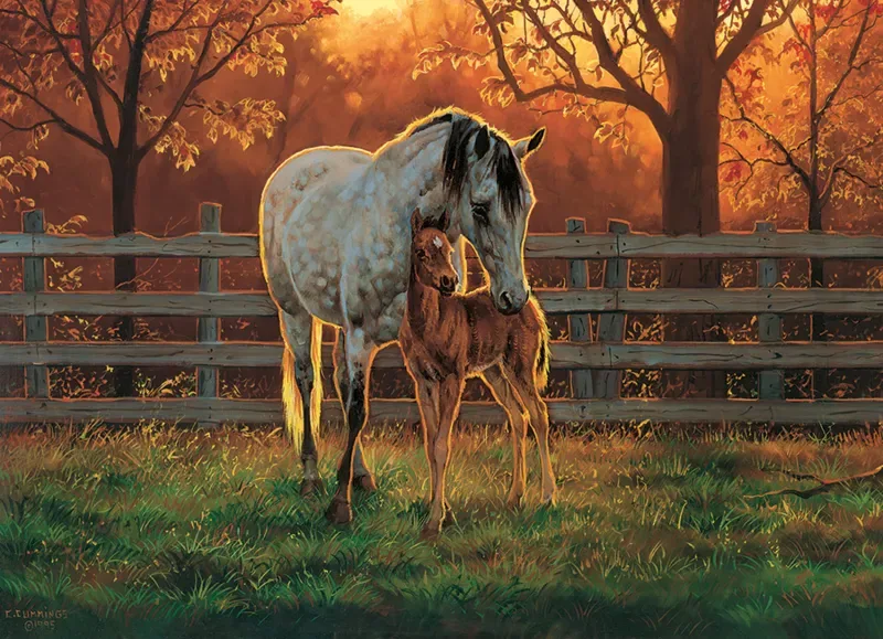 Puzzle Pièces XXL - Temps Calme - 500 à 999 pièces de Cobble Hill – boîte