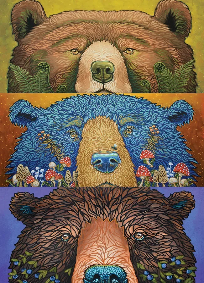 Puzzle Pièces XXL - Yeux d'Ours : Récolte - Random Cut - 500 à 999 pièces de Cobble Hill – boîte