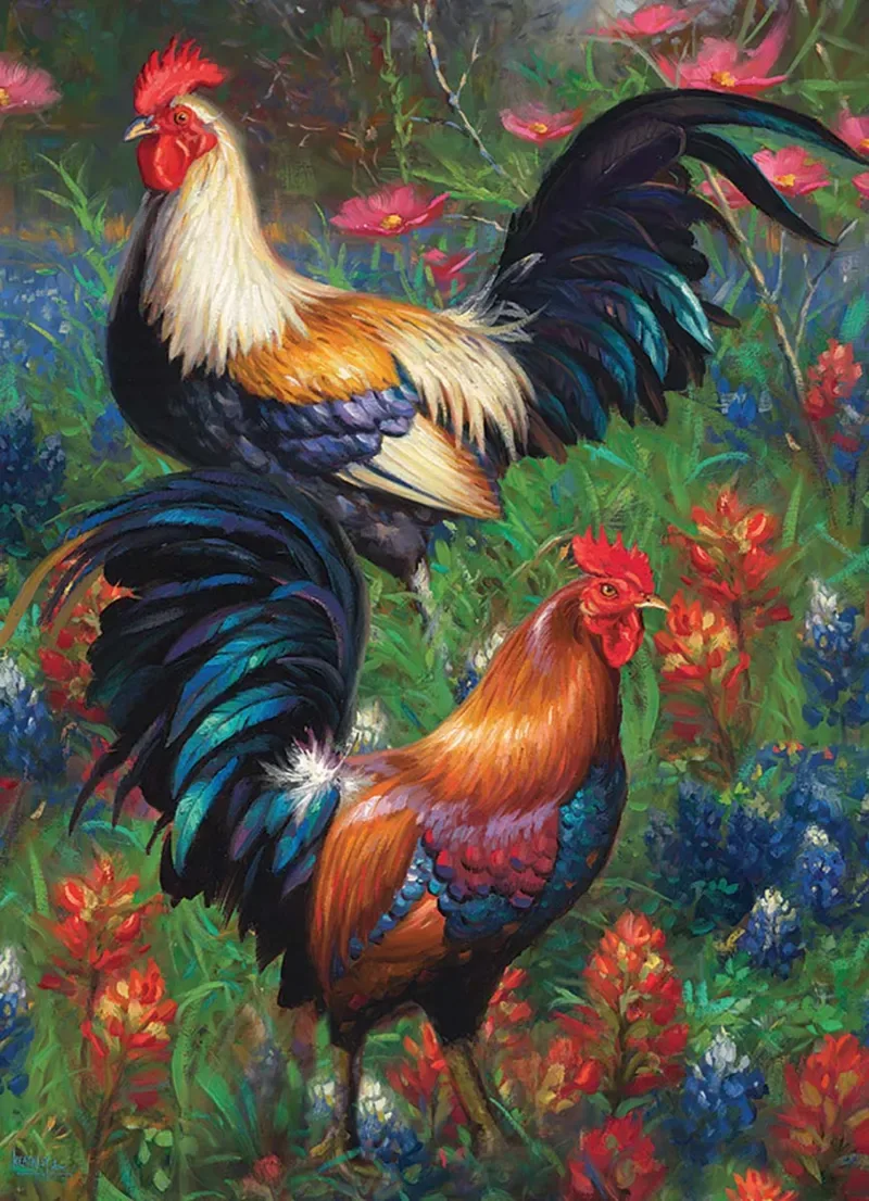 Puzzle Roosters - 1000 pièces de Cobble Hill – boîte