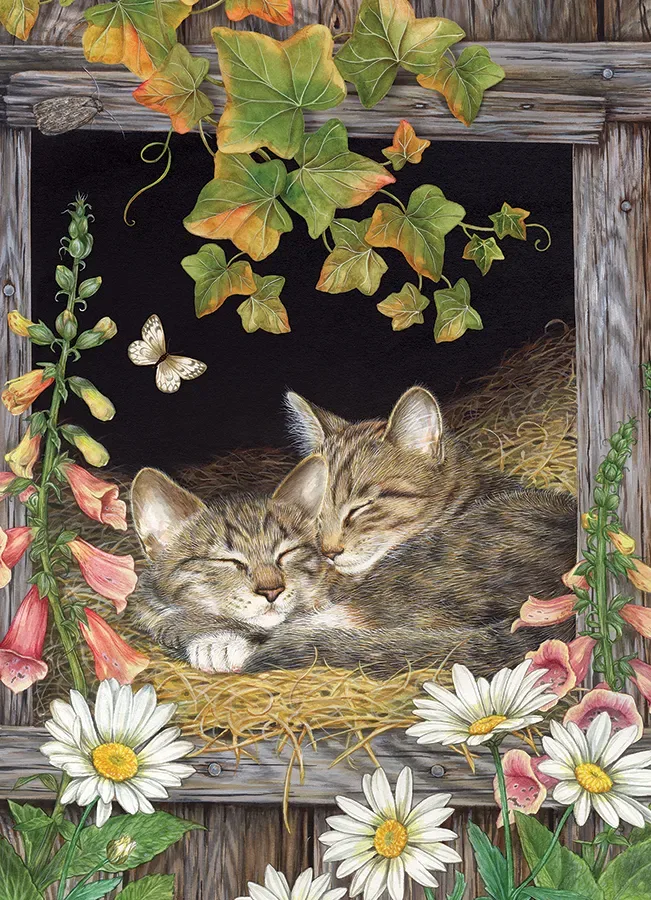 Puzzle Soeurs - 500 à 999 pièces de Cobble Hill – boîte