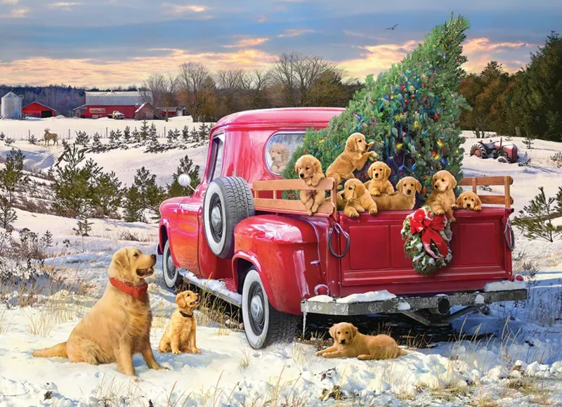 Puzzle Sortie en Famille - 1000 pièces van Cobble Hill – doos